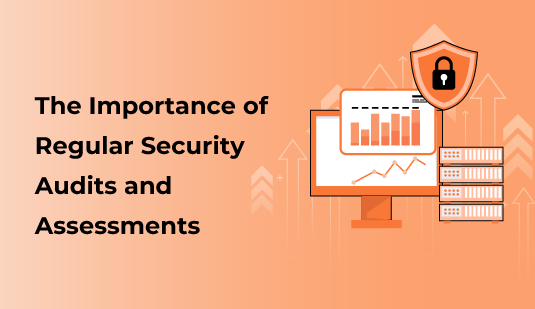The Importance of Regular Security Audits and Assessments